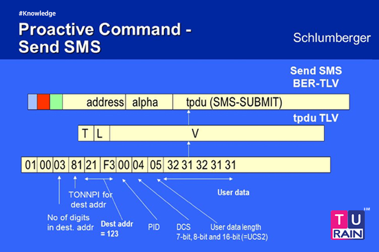 SMPP TLV Optional Parameters copy 1