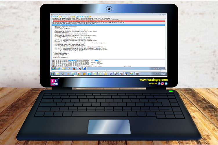 TLV Parameters SMPP in Kannel copy